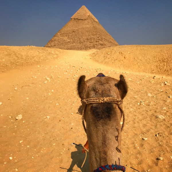 Pyramídy v Gíze, Egypt