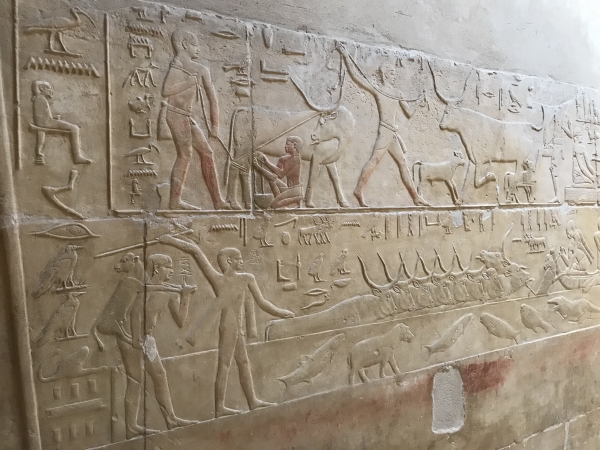 Hieroglyfy, Sakkara