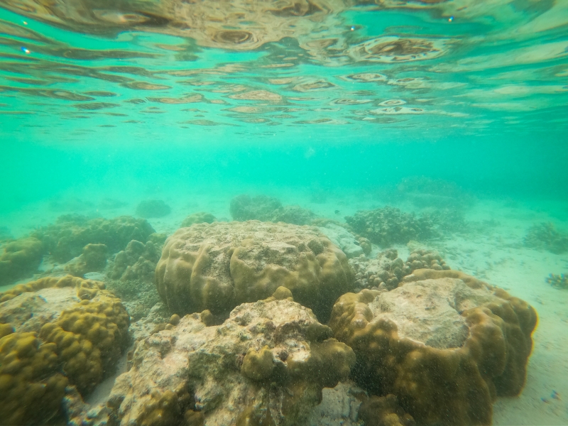 Koh Lipe