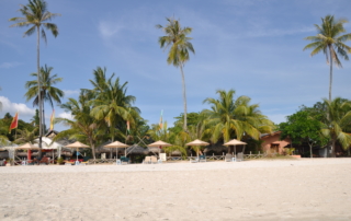Pohľad z pláže s bielym pieskom na palmy na ostrove Langkawi