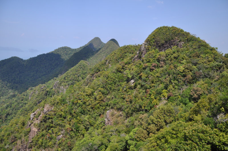 Cesta na Langkawi, pohľad na vrcholy zelených kopcov z výšky