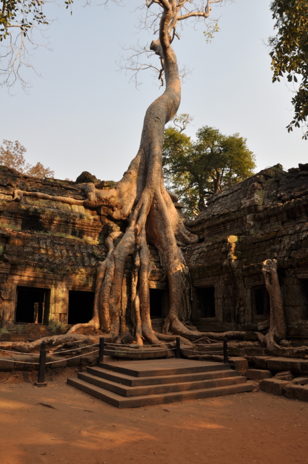 Ta Prohm