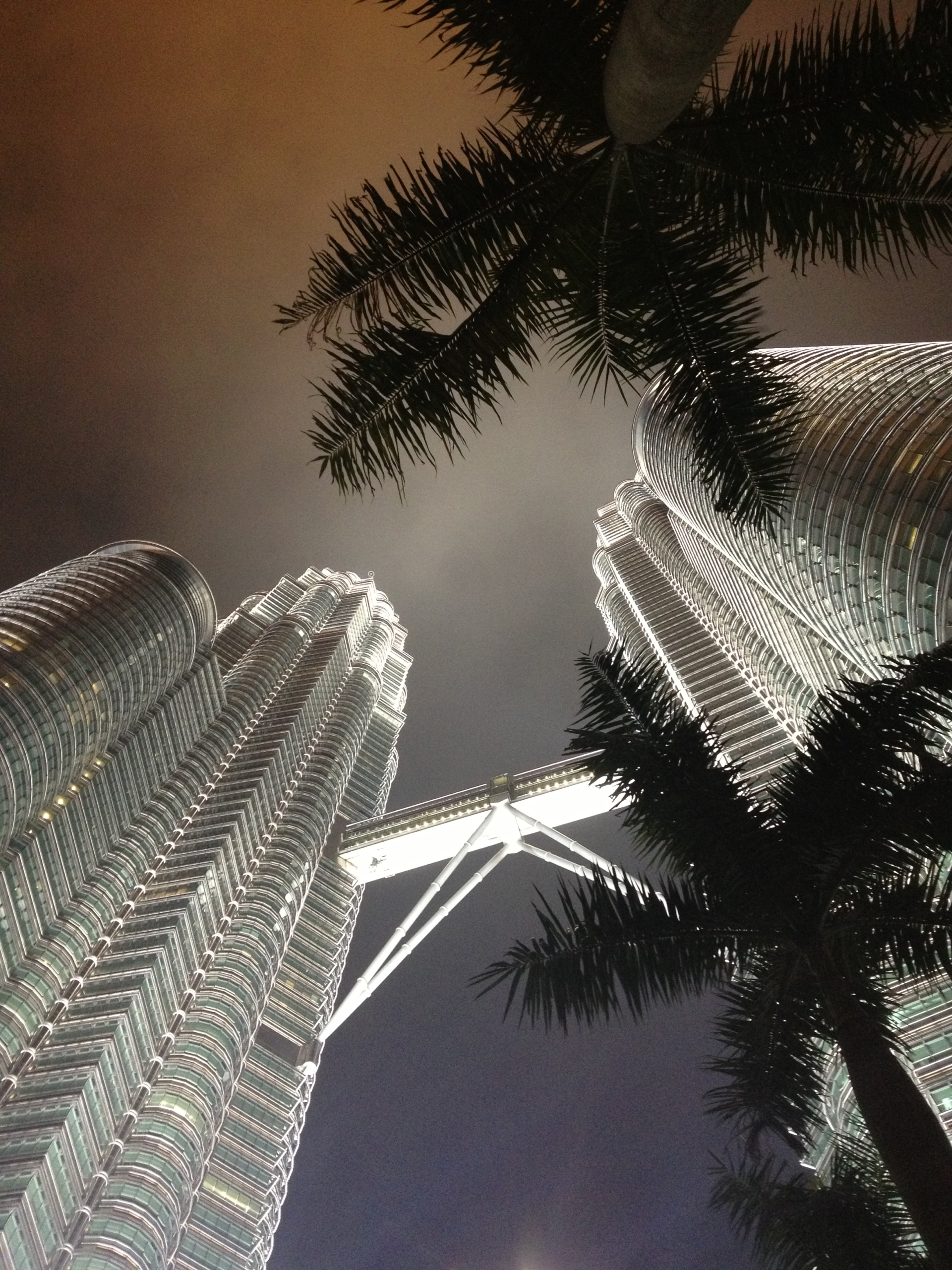 Zápisky z ciest: Kuala Lumpur - nočný pohľad na nasvietené veže Petronas Towers zospodu so siluetami paliem