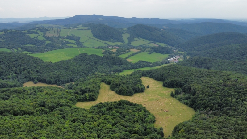 Výlet na hrad Tematín