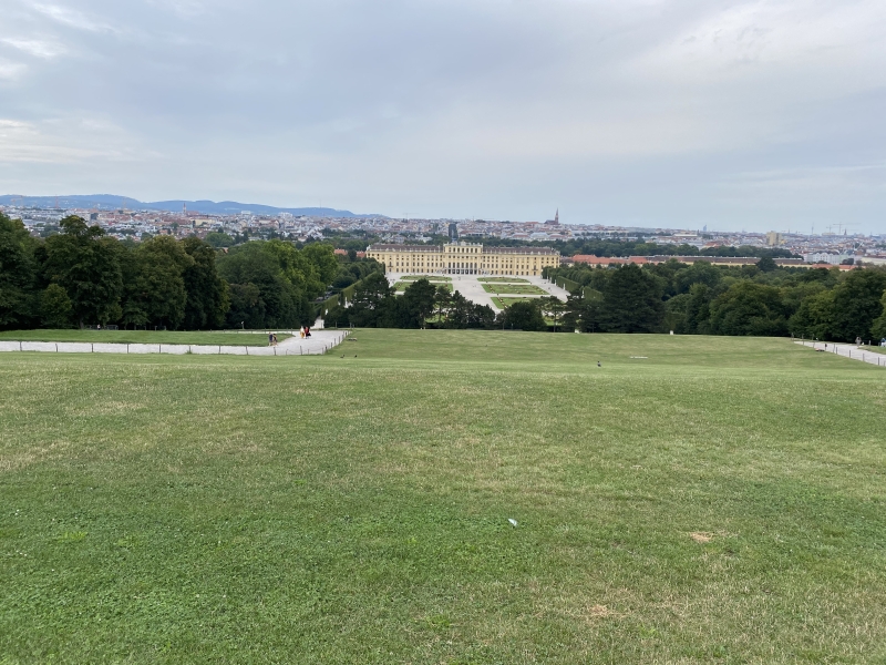 Čo vidieť vo Viedni: pohľad na palác Schönbrunn z trávnatého kopca