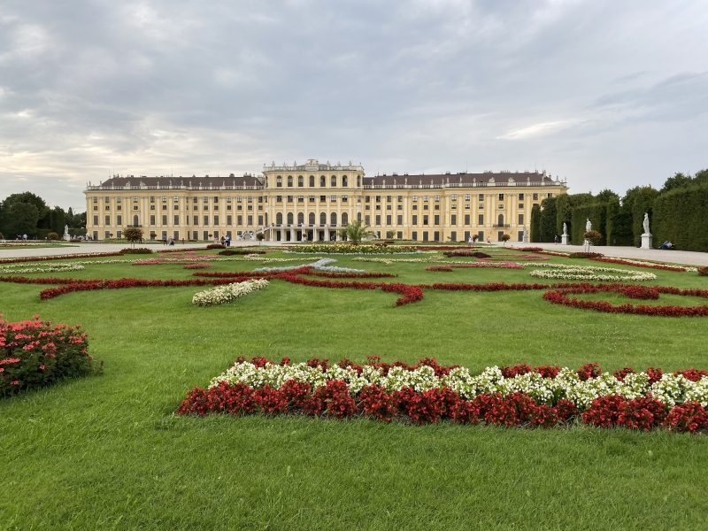 Palác Schönbrunn: pohľad na kvetiny v popredí a vzadu široká stavba paláca