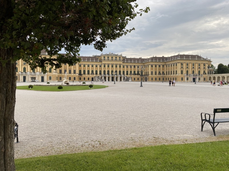 Schönbrunn - vľavo rámuje obrázok časť stromu, v centre je palác Schönbrunn