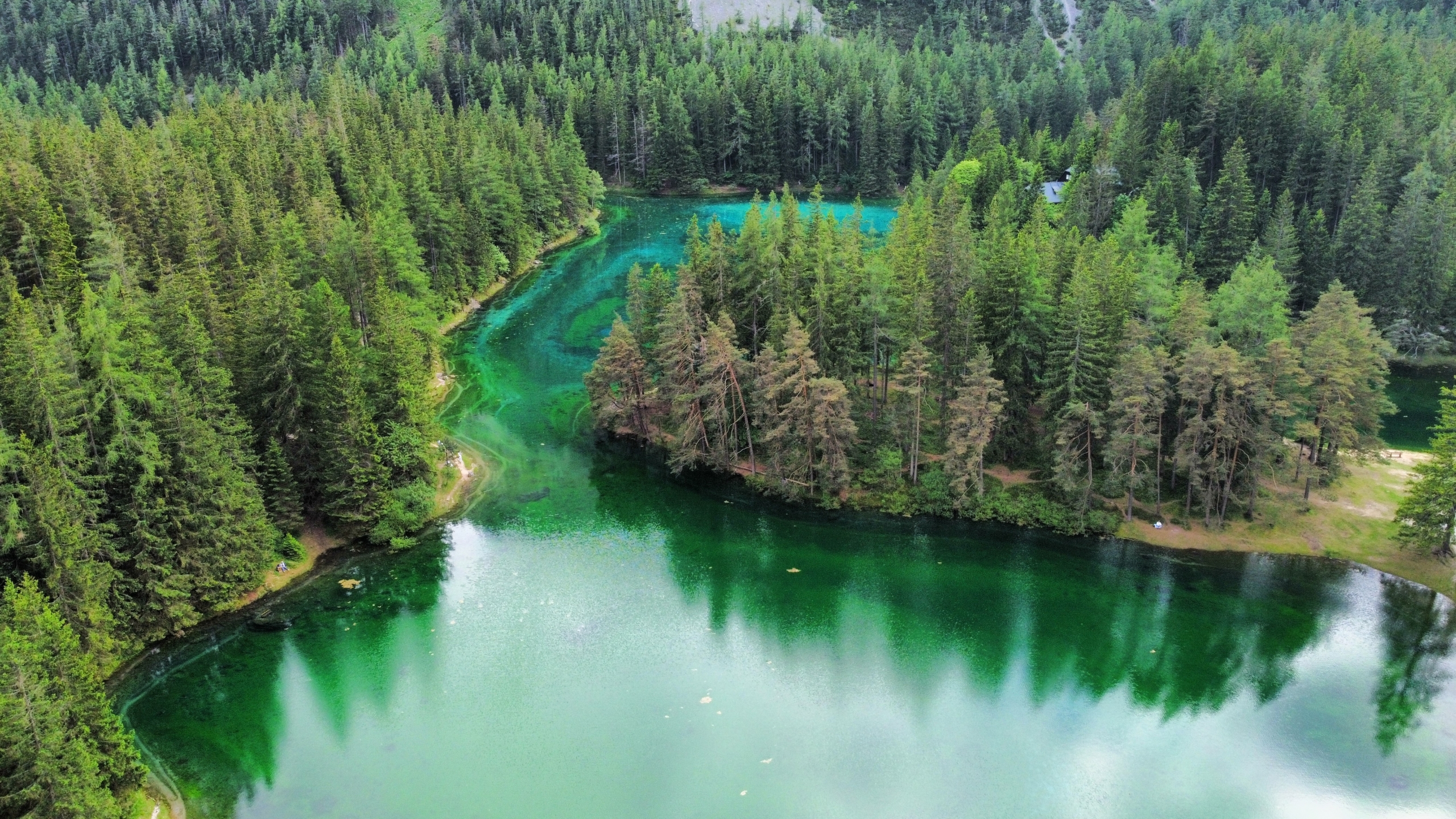 Pohľad na zelené vody Grüner See v Štajersku