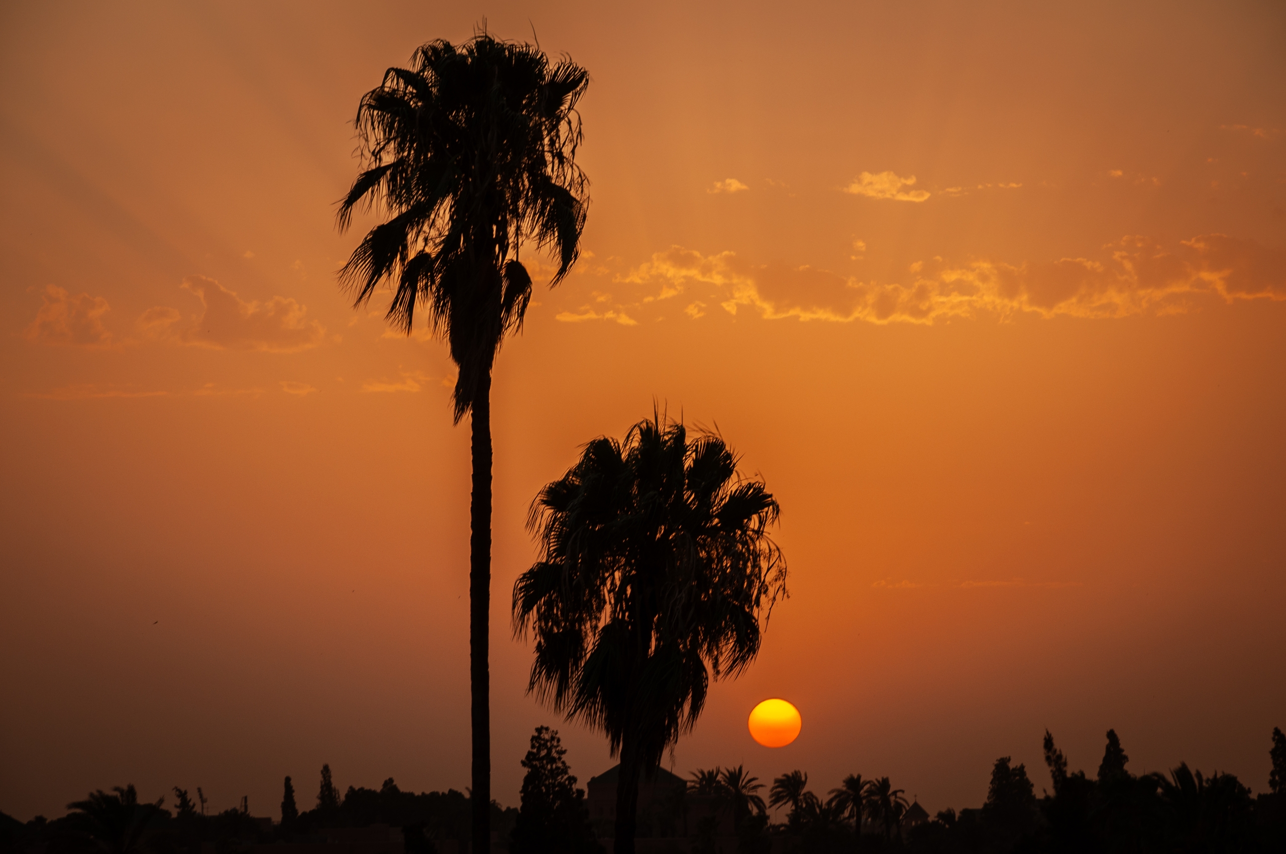 Pohľad na zapasadajúce slnko a siluety dvoch paliem v Marrakéši