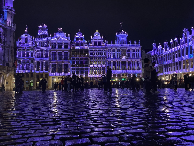 čo vedieť pred cestou do Bruselu - námestie Grand-Place v noci vysvietené na fialovú farbu, vpredu kamenná dlažba a v pozadí typické historické budovy
